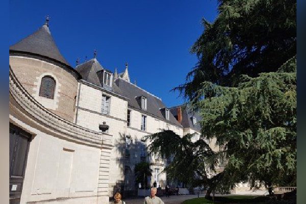 Musée des Beaux-Arts de Tours